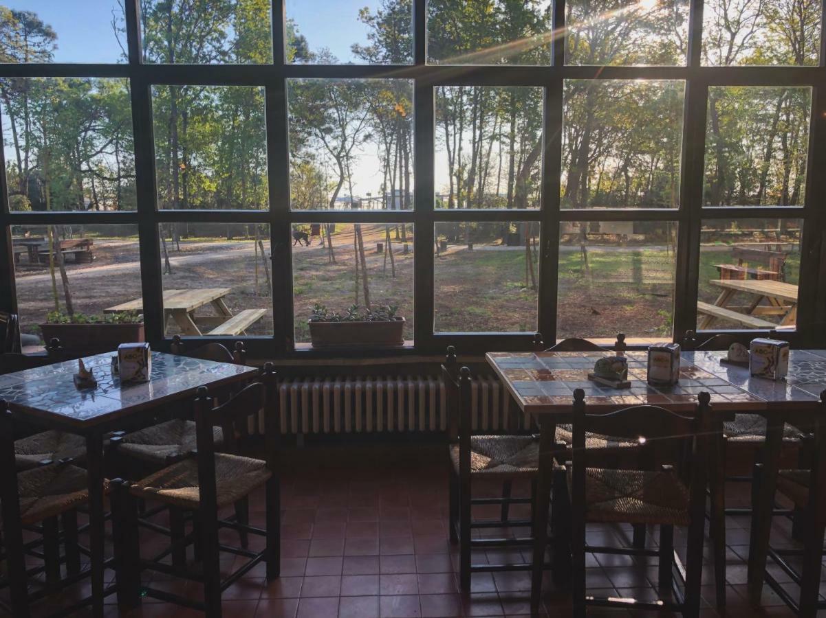 La Villa Cervia Bagian luar foto
